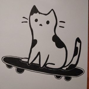Cat on skateboard