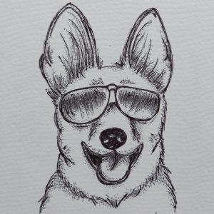 Dog with Sunglasses